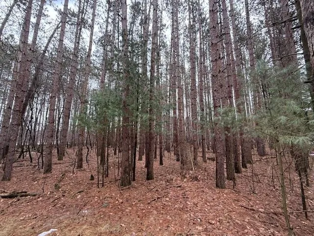 $29,900 | Lake Terrace Drive, Ogdensburg, WI 54962