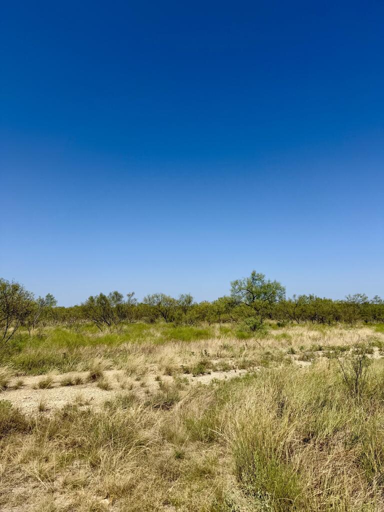 524 South Trap Road, Unit MULT Fort McKavett, TX 76841 - Photo 16 of 20 Gallery Image 16