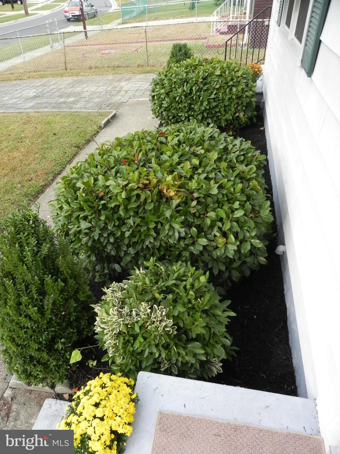 816 Martin Road Baltimore, MD 21221 - Photo 29 of 30 Manicured Landscaping