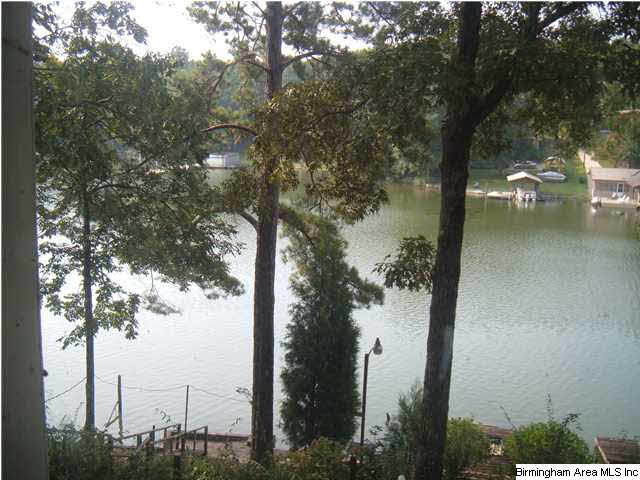 424 Coosa Island Road Cropwell, AL 35054 - Photo 13 of 22