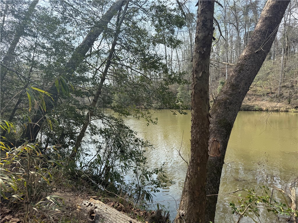 0 Holland Ford Road Pelzer, SC 29669 - Photo 18 of 35