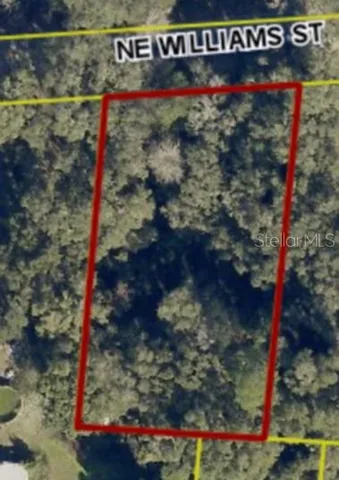 a view of street sign