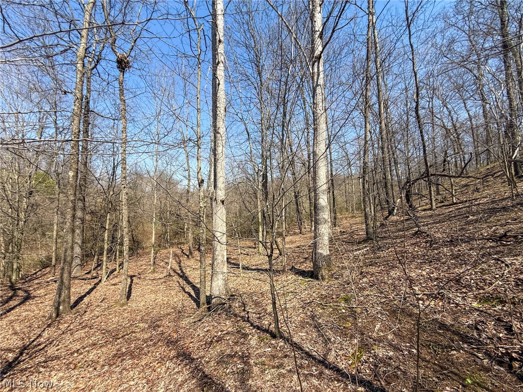 Claysville Road Cumberland, OH 43732 - Photo 20 of 47