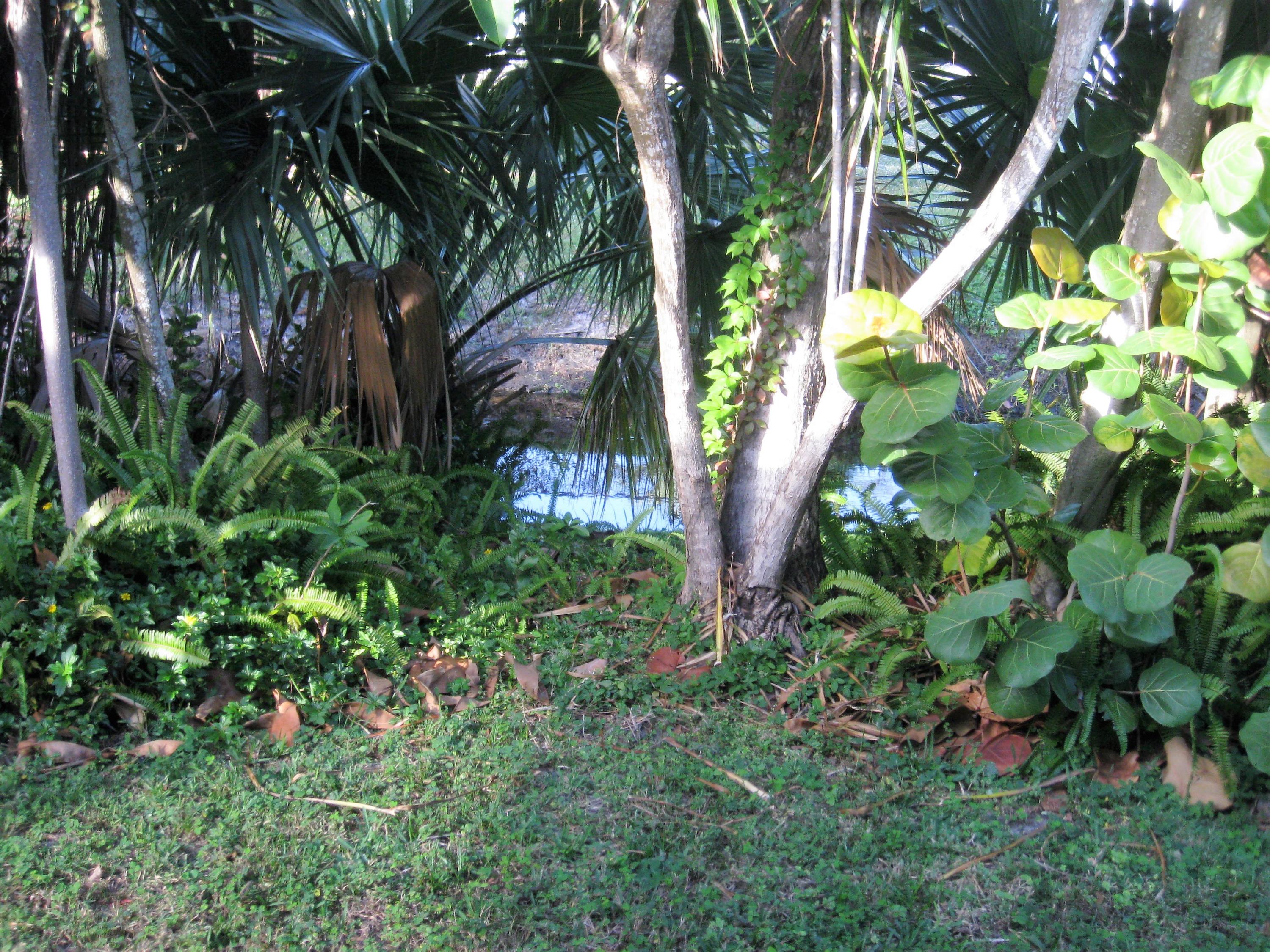 15 Windsor Road West Jupiter, FL 33469 - Photo 26 of 28 IMG_2111