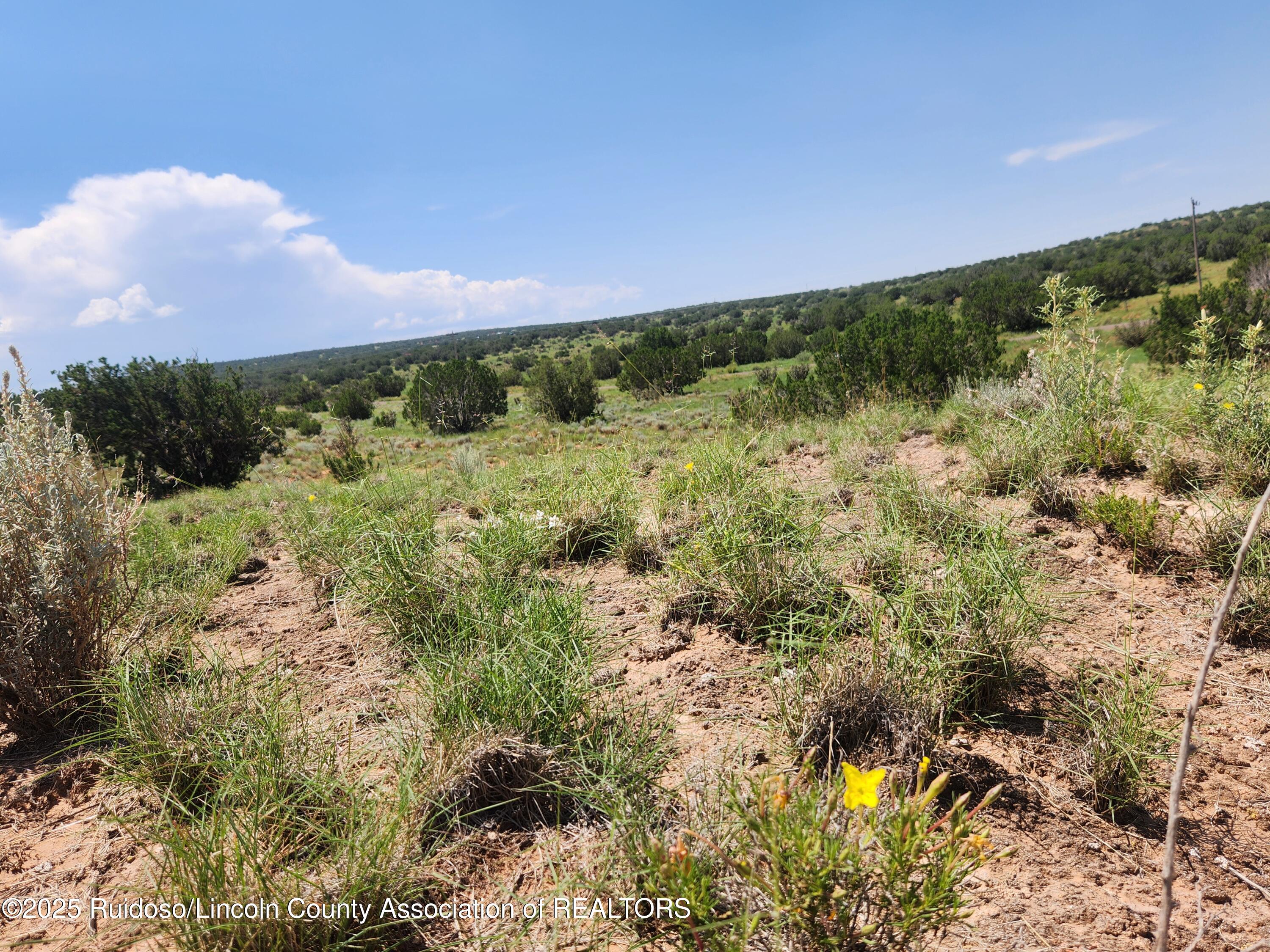 312 Windmill Road Carrizozo, NM 88301 - Photo 43 of 70 Gallery Image 43