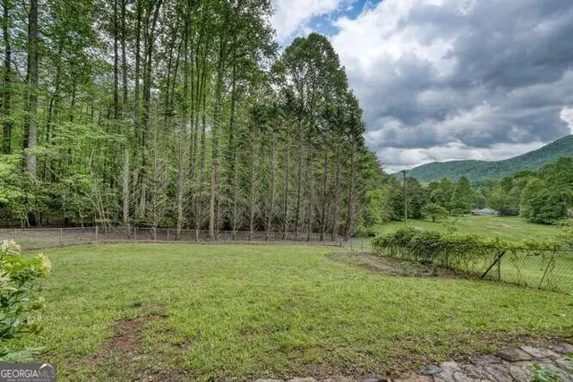 a view of a forest with trees in the background