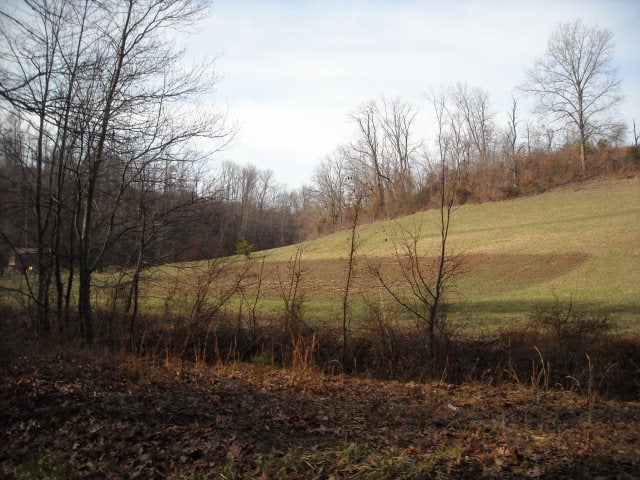 240 Webb Road Beaver, OH 45613 - Photo 1 of 1 Main View