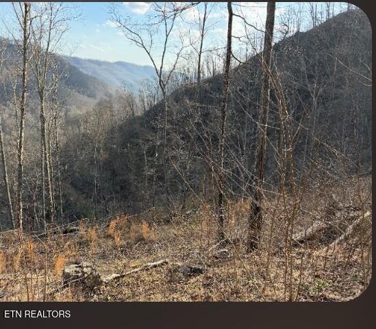 100 Knot Hole Left Road Arjay, KY 40902 - Photo 12 of 14 5850067452574735438