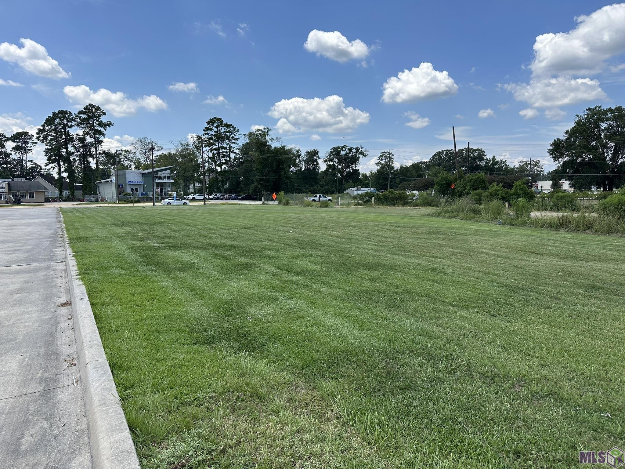 630 South Range Avenue Denham Springs, LA 70726 - Photo 3 of 6