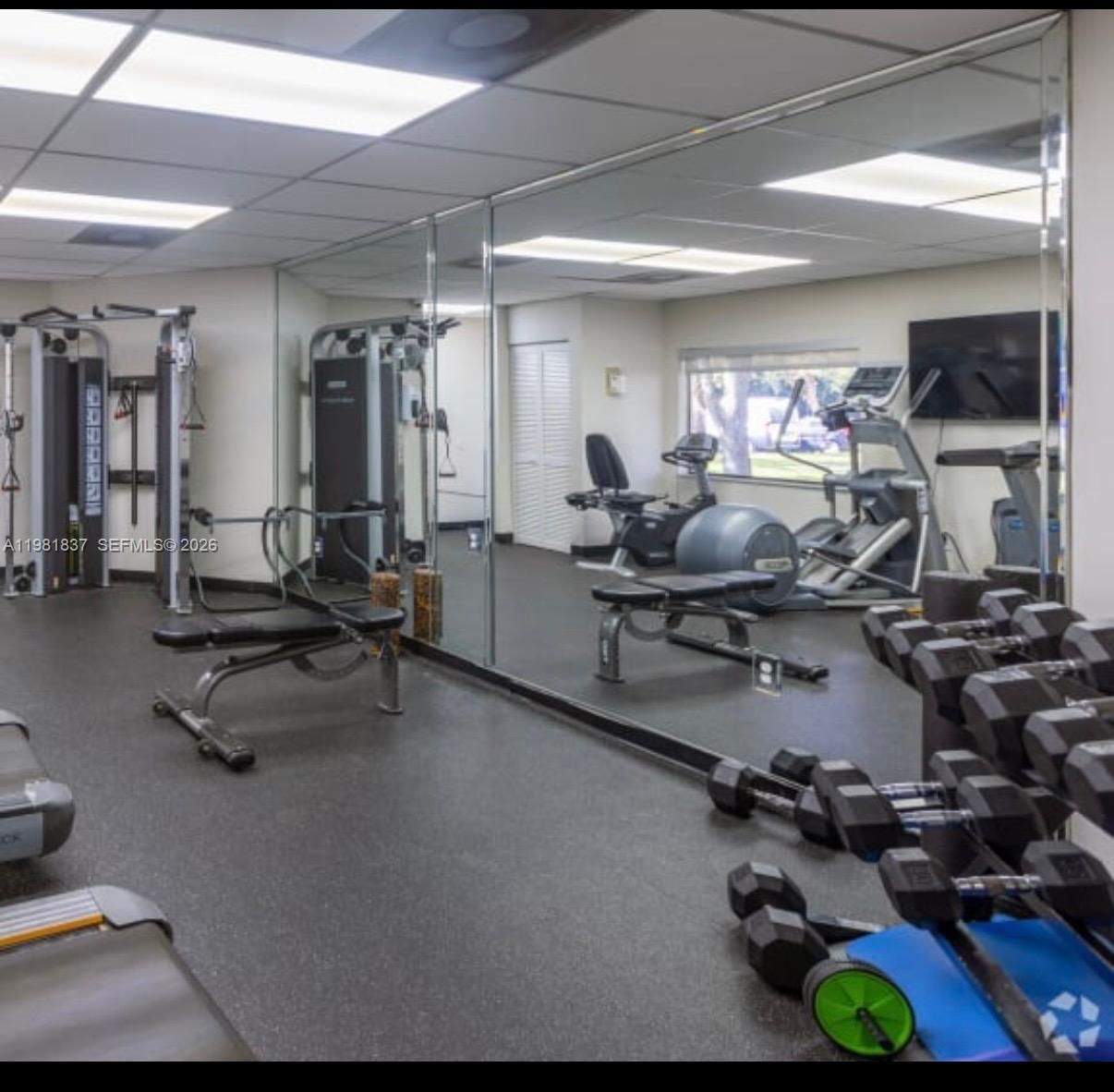 3760 Westminster Street Hollywood, FL 33021 - Photo 5 of 42 a room with gym equipment and a large window