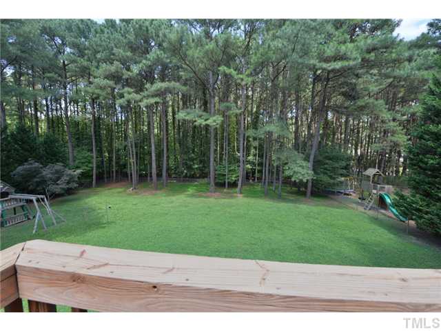 13612 Durant Road Raleigh, NC 27614 - Photo 17 of 20 a view of a backyard with green space