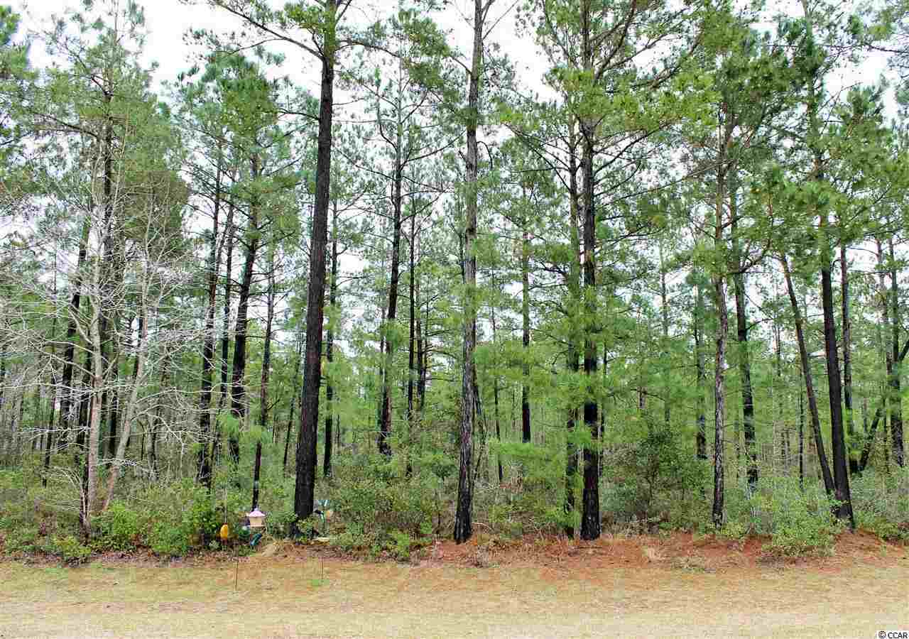 261 Seabert Road, Unit 261 Myrtle Beach, SC 29579 - Photo 20 of 25 Gallery Image 20