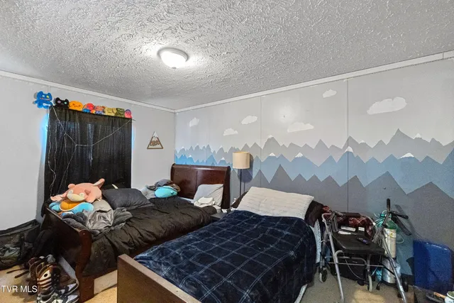 $257,000 | 3363 Babbs Mill Road, Greeneville, TN 37745