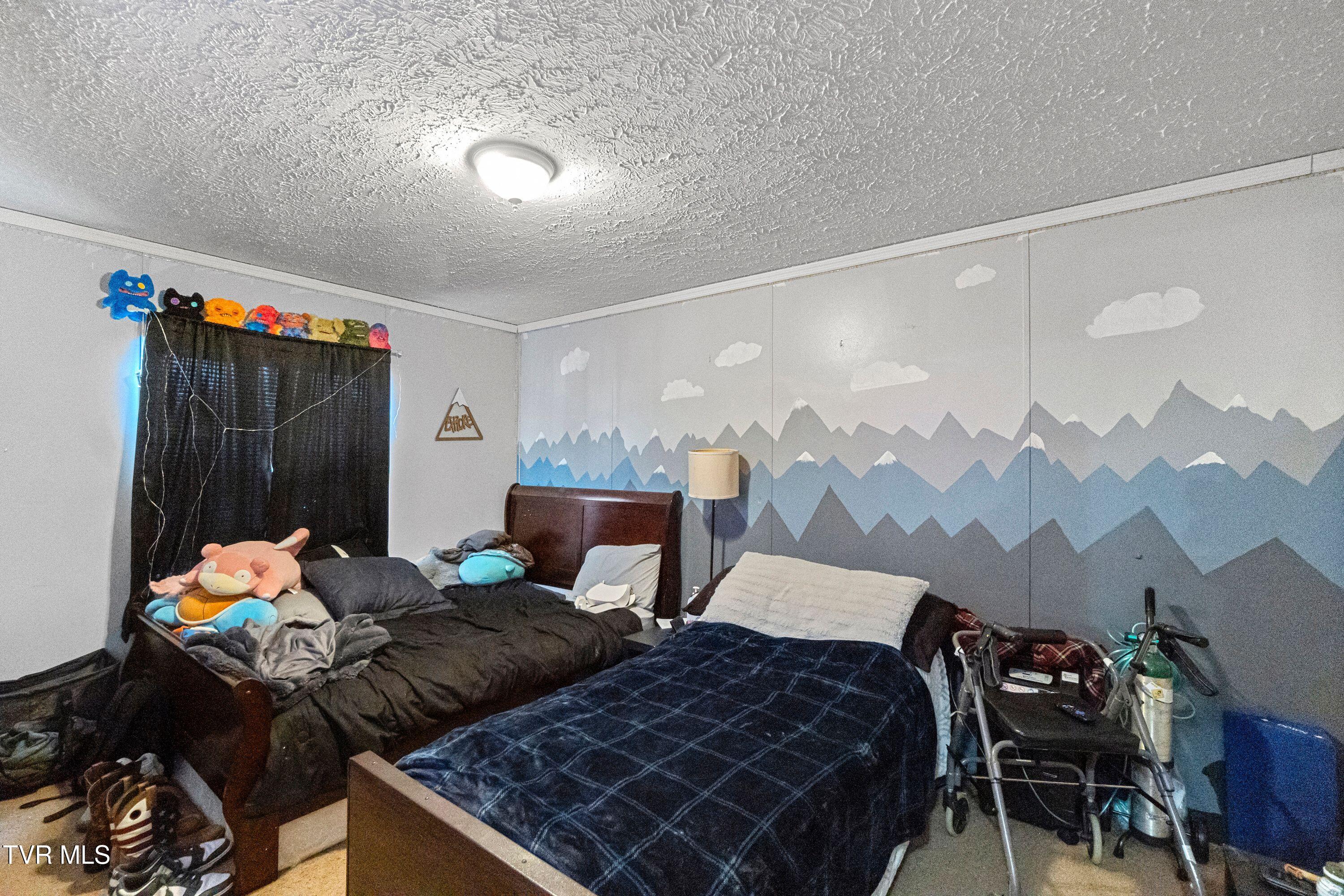 3363 Babbs Mill Road Greeneville, TN 37745 - Photo 13 of 27 IMG_4778