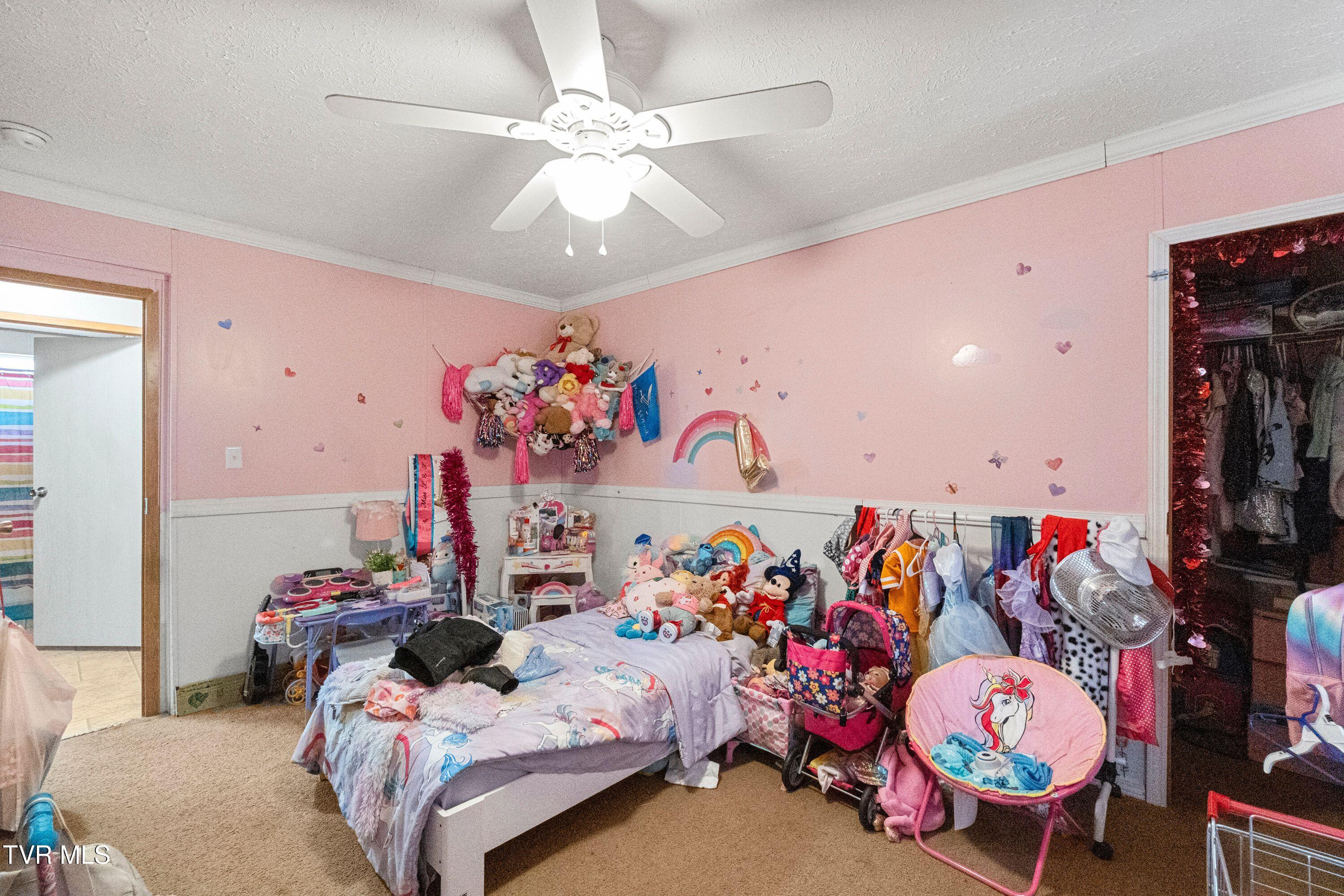 3363 Babbs Mill Road Greeneville, TN 37745 - Photo 14 of 27 IMG_4777