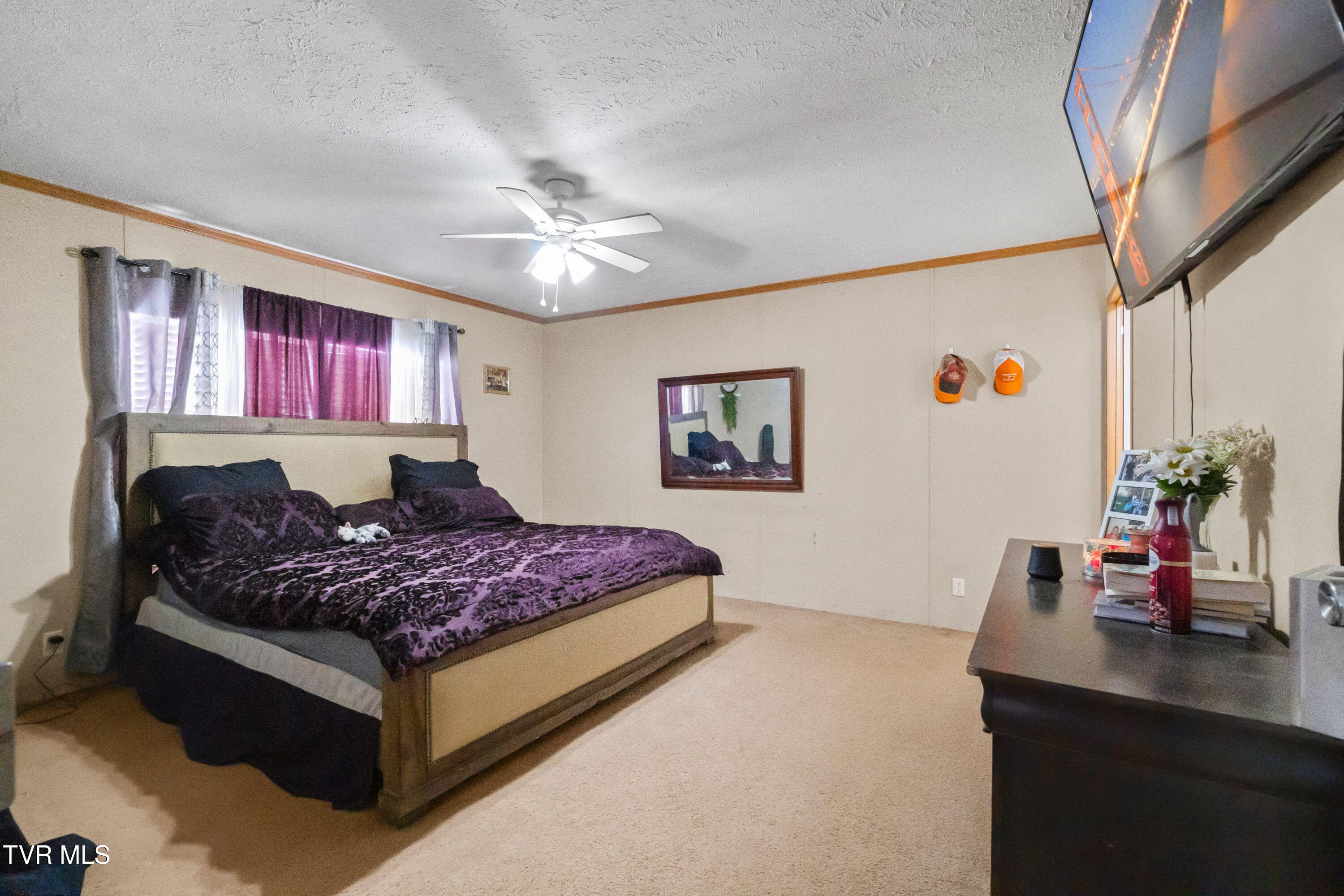 3363 Babbs Mill Road Greeneville, TN 37745 - Photo 9 of 27 IMG_4762