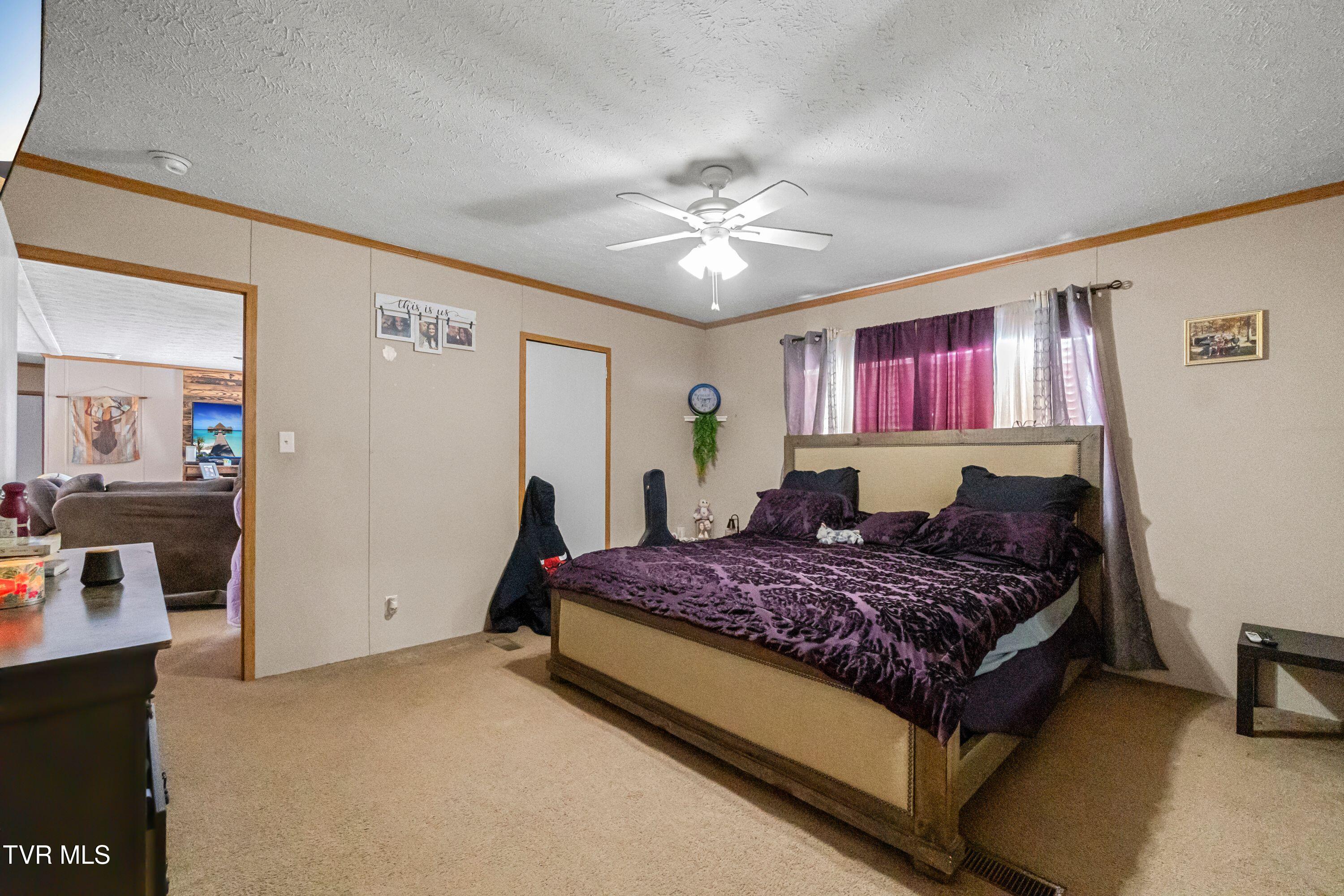 3363 Babbs Mill Road Greeneville, TN 37745 - Photo 10 of 27 IMG_4763