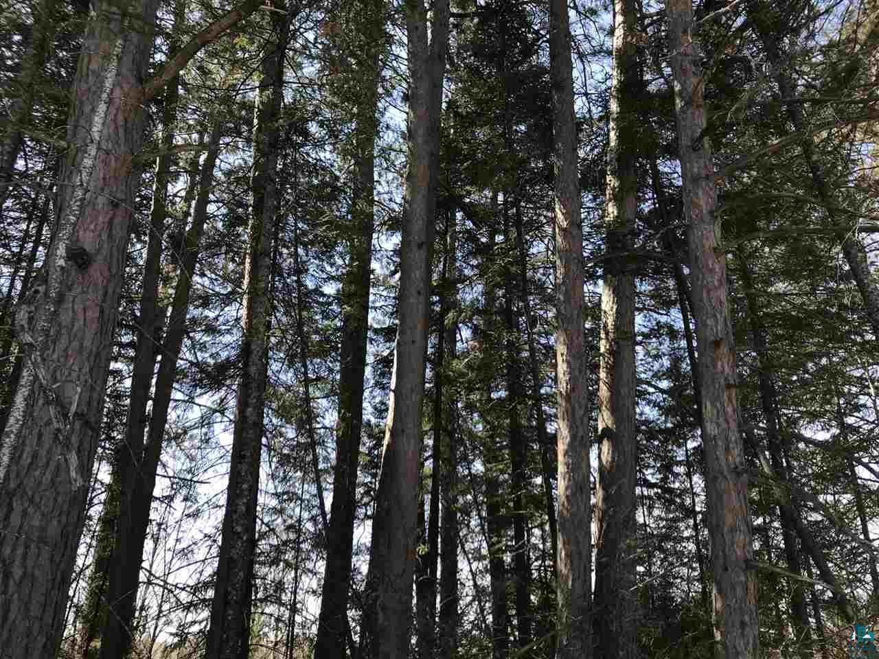 1958 Lind Road Carlton, MN 55718 - Photo 9 of 17 Gallery Image 9