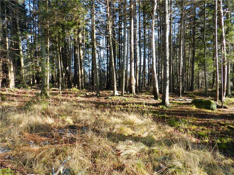 Lot 22 Neighborhood Road Northeast Harbor, ME 04662 - Photo 1 of 1 Land.