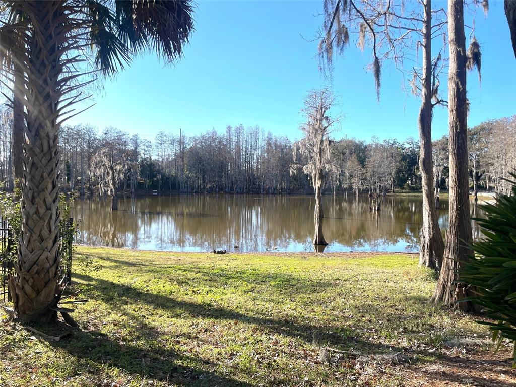 3408 Valley Ranch Drive Lutz, FL 33548 - Photo 3 of 17