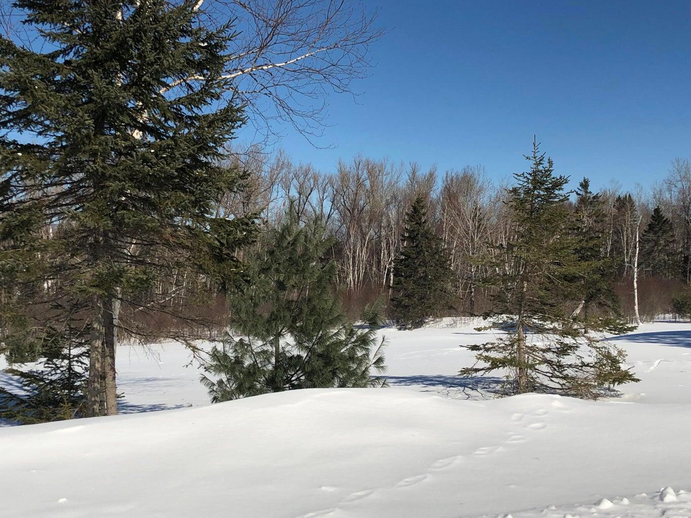 8 Marbles Way Rangeley, ME 04970 - Photo 9 of 14 20190330185552543090000000-o
