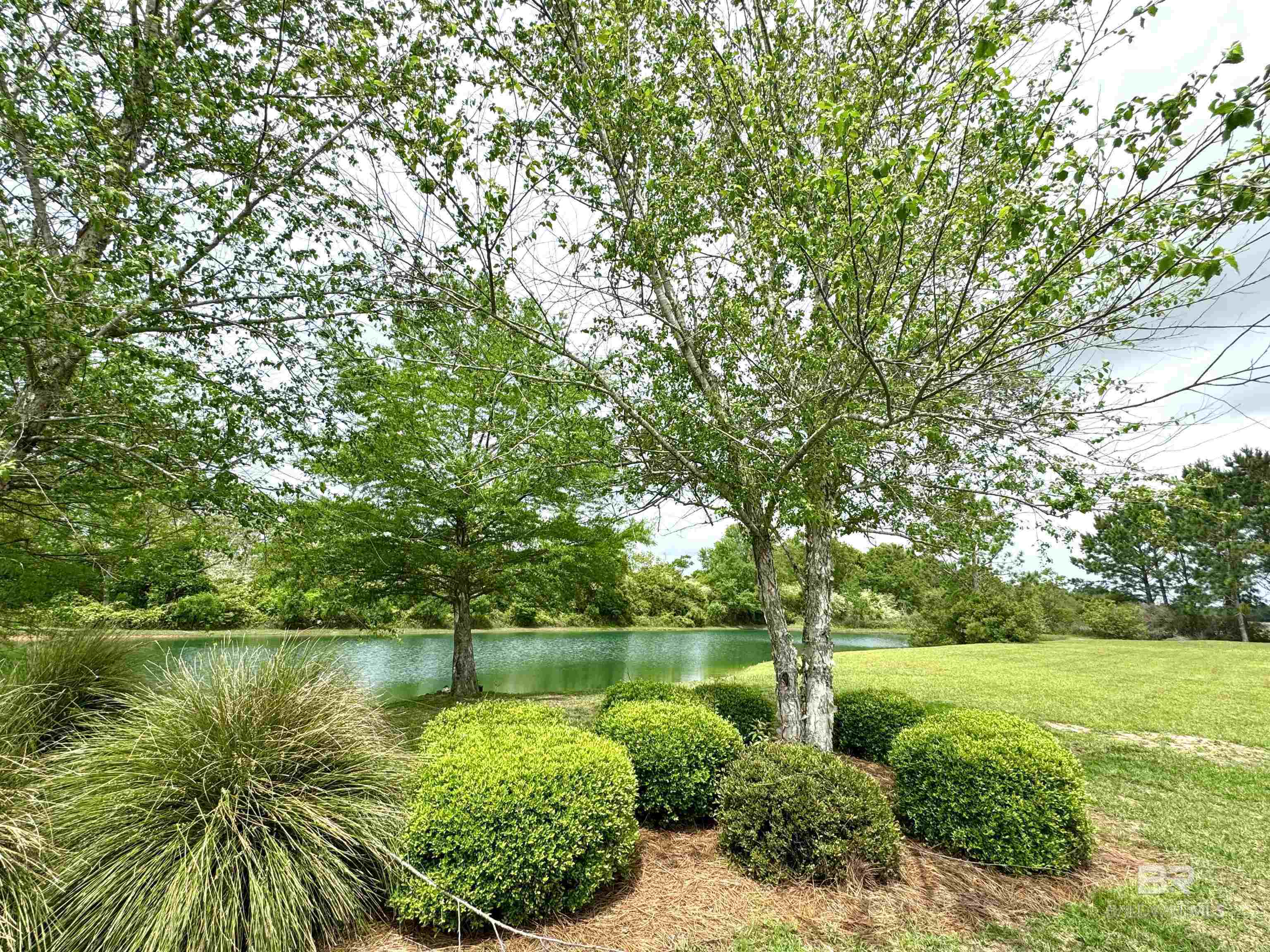 0 Rocky Rd Loop Gulf Shores, AL 36542 - Photo 17 of 17 Yard