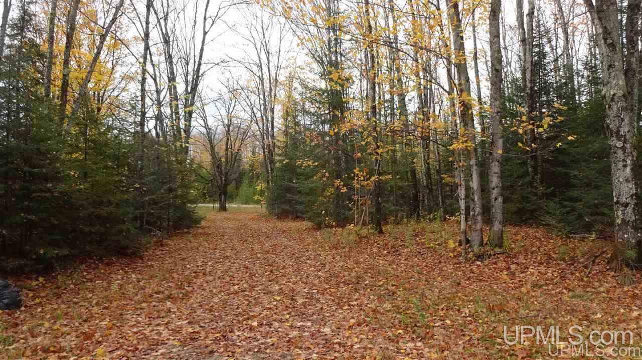 N2750 East T Road Trenary, MI 49891 - Photo 16 of 18