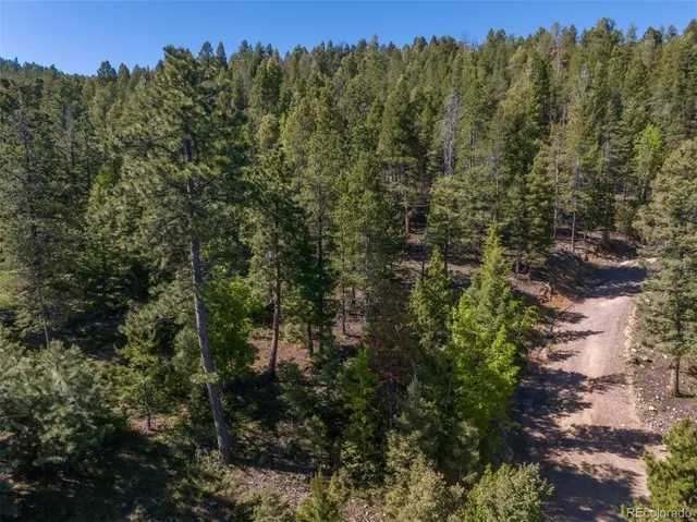 $100,000 | 0 Ponderosa Drive, Conifer, CO 80433
