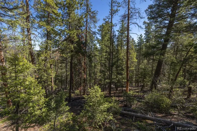 $100,000 | 0 Ponderosa Drive, Conifer, CO 80433