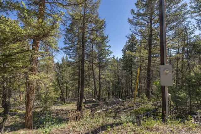 $100,000 | 0 Ponderosa Drive, Conifer, CO 80433