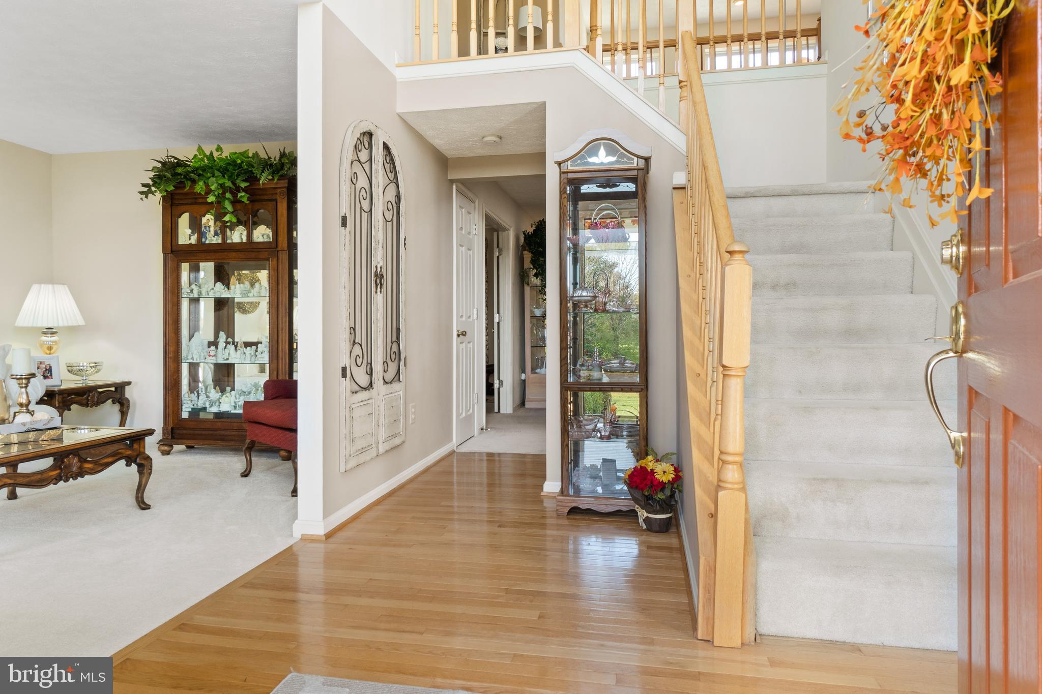 17 Brookview Loop Elkton, MD 21921 - Photo 5 of 59 Foyer features 2 Story Ceiling & Hardwood Flooring
