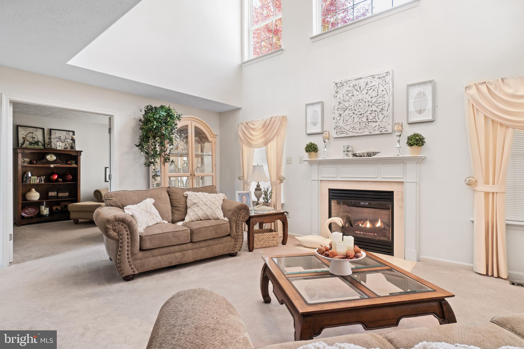17 Brookview Loop Elkton, MD 21921 - Photo 9 of 59 2 Story Ceiling & Palladian Windows in Family Room