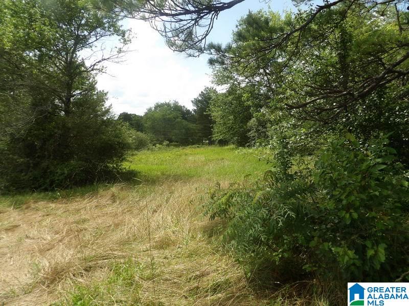 2950 McIntosh Road Oxford, AL 36203 - Photo 17 of 29