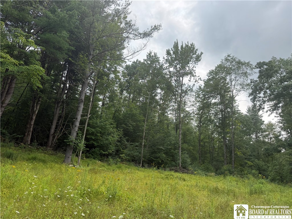 Morgan Hollow Road Olean City, NY 14760 - Photo 6 of 7 Gallery Image 6