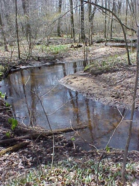 76720 53rd Street Decatur, MI 49045 - Photo 38 of 42 creek1