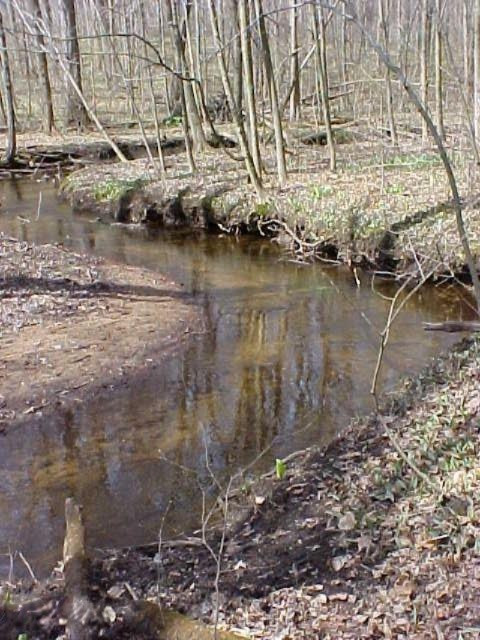 76720 53rd Street Decatur, MI 49045 - Photo 39 of 42 creek3
