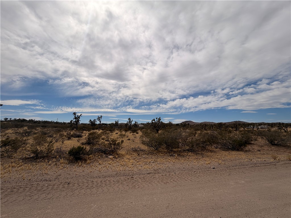 17773 Laurel Road Dolan Springs, AZ 86441 - Photo 7 of 9