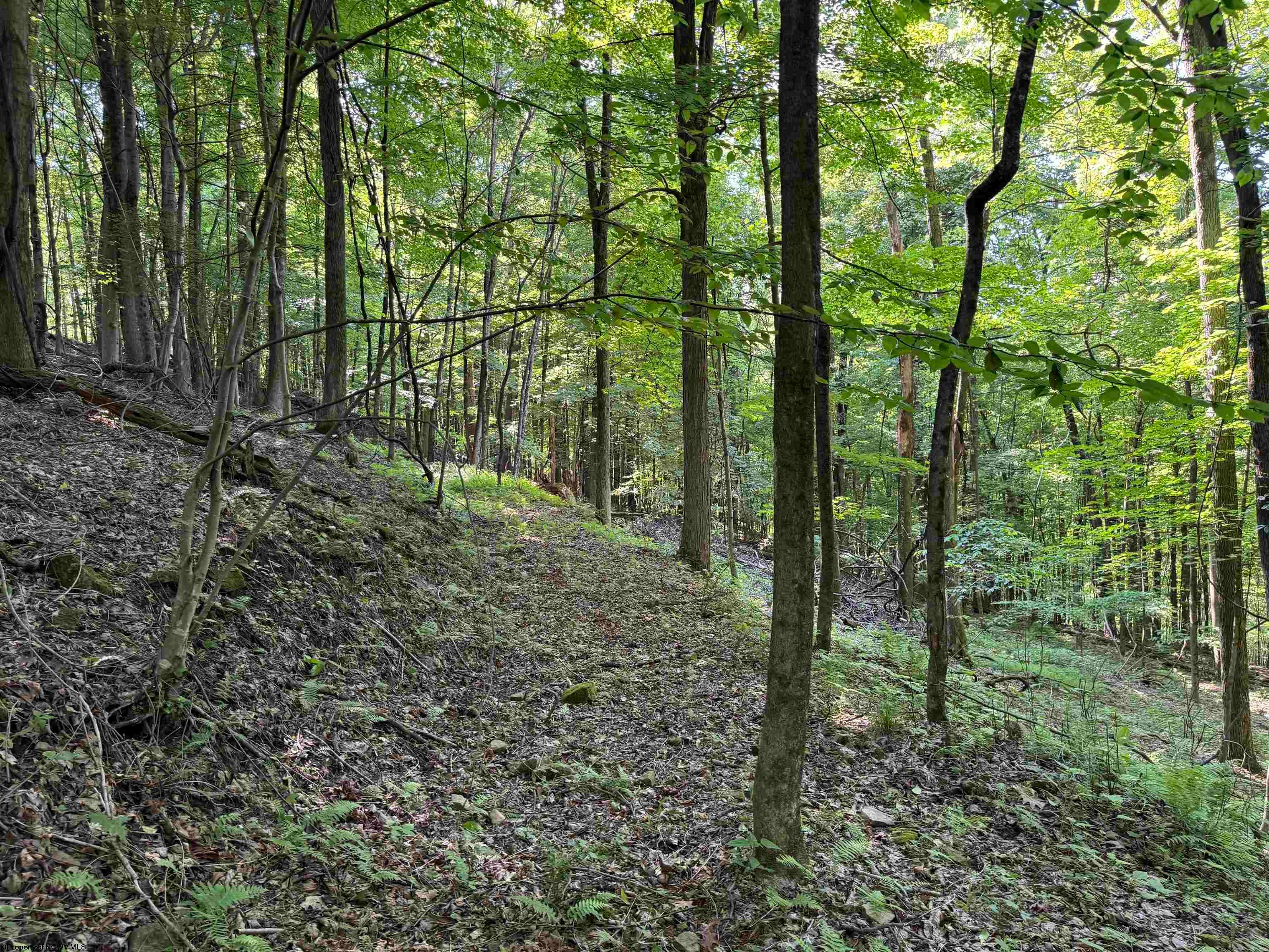 8 North Bunner Ridge Fairmont, WV 26554 - Photo 9 of 10 Gallery Image 9