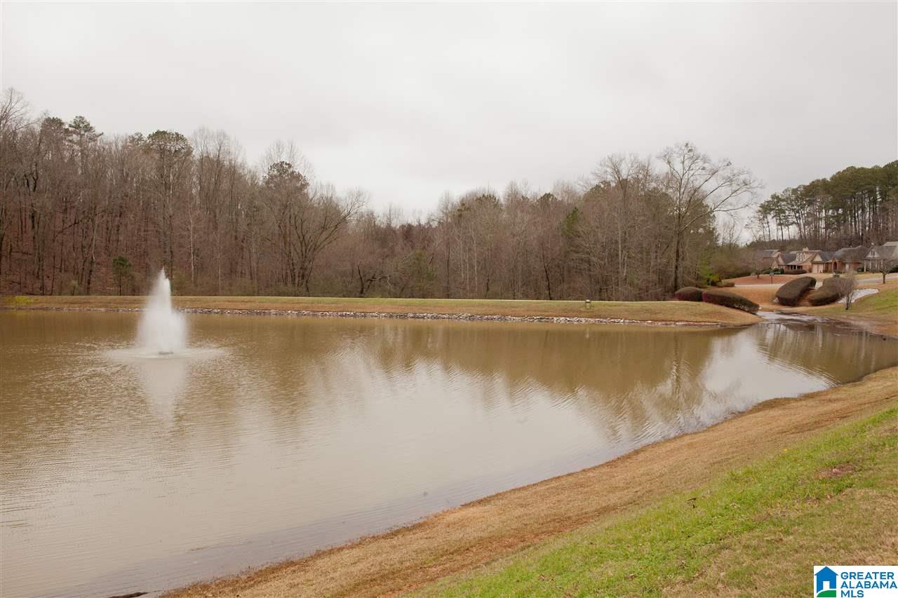 331 Chesser Plantation Lane Chelsea, AL 35043 - Photo 6 of 29