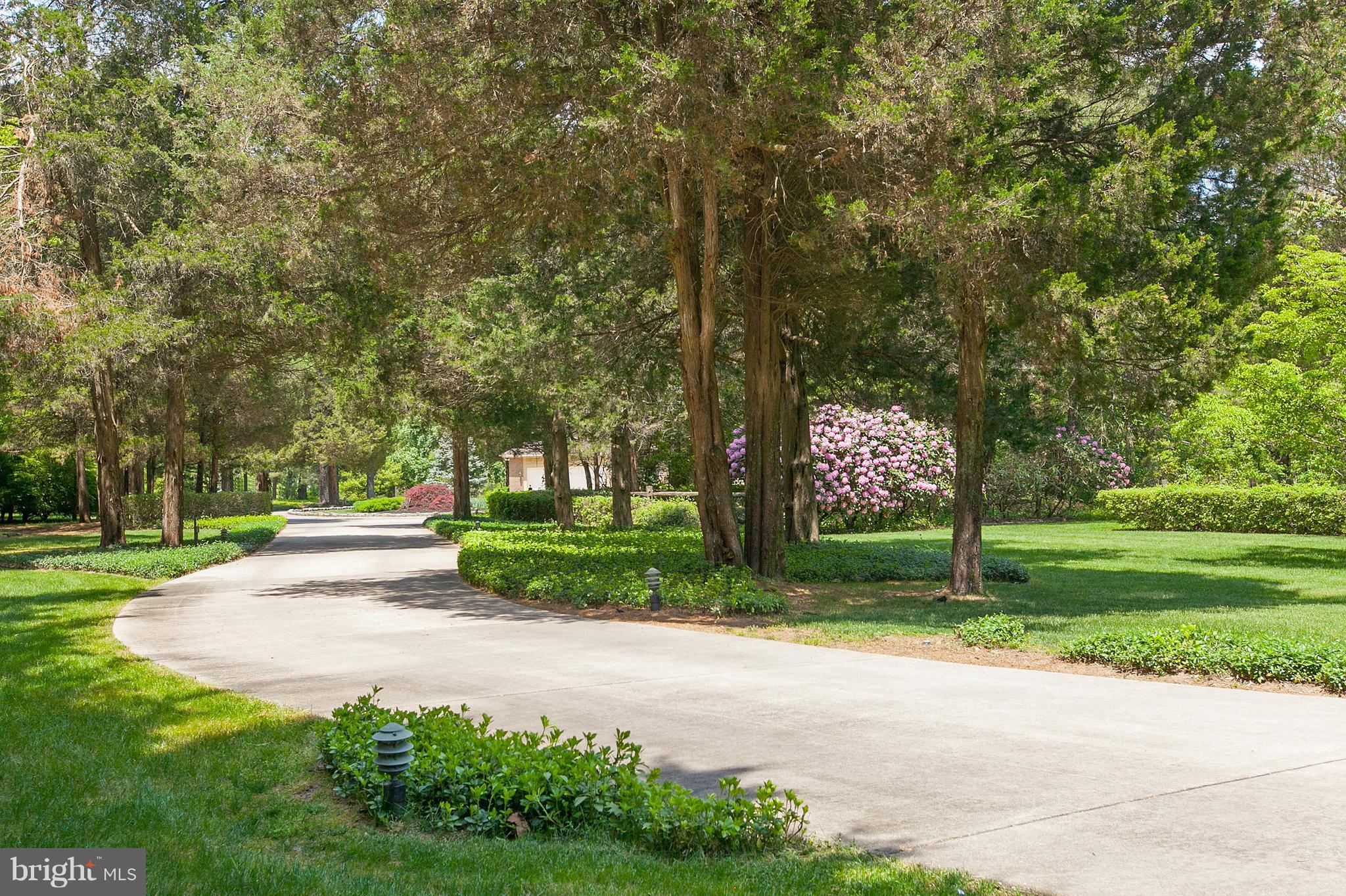602 Centerton Road Pittsgrove, NJ 08318 - Photo 2 of 51 Driveway Entrance