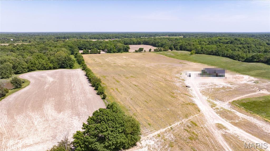 2 County Line Road Brighton, IL 62012 - Photo 4 of 12