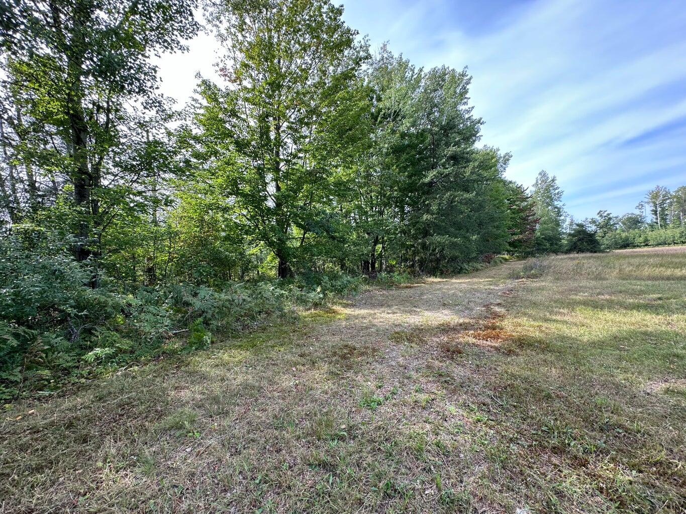 8590-8570 Spruce Road Ossineke, MI 49766 - Photo 29 of 49 Gallery Image 29