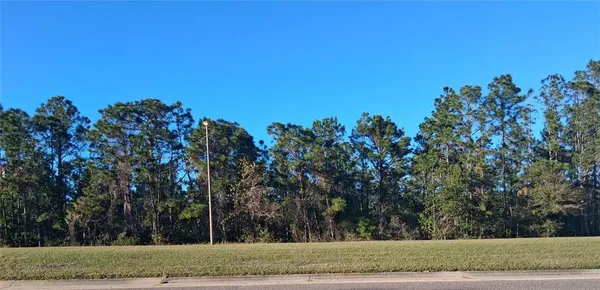 $500,000 | International Drive South, Orlando, FL 32837
