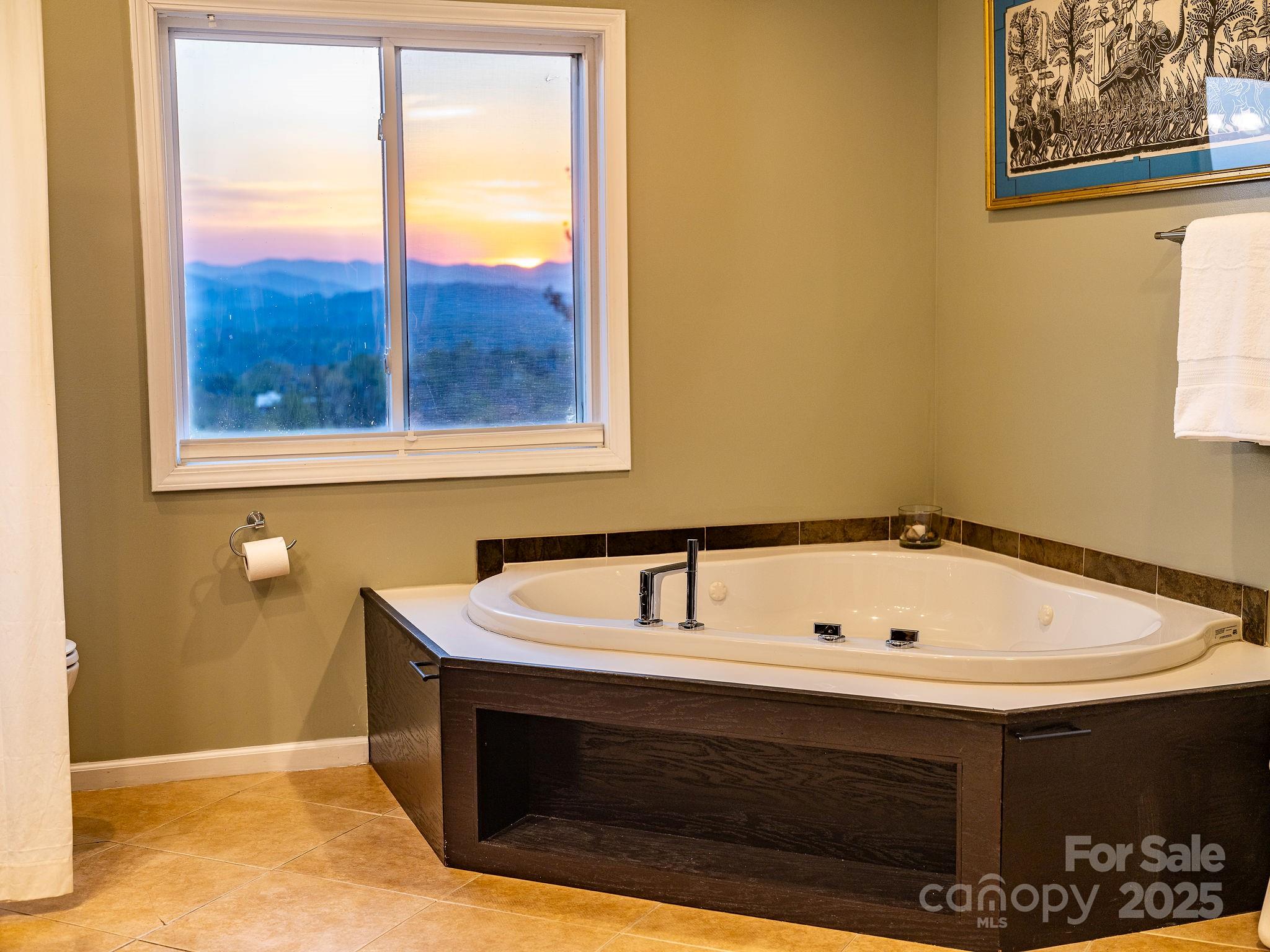 19 Westview Road Asheville, NC 28804 - Photo 29 of 44 a bathroom with a sink and a window