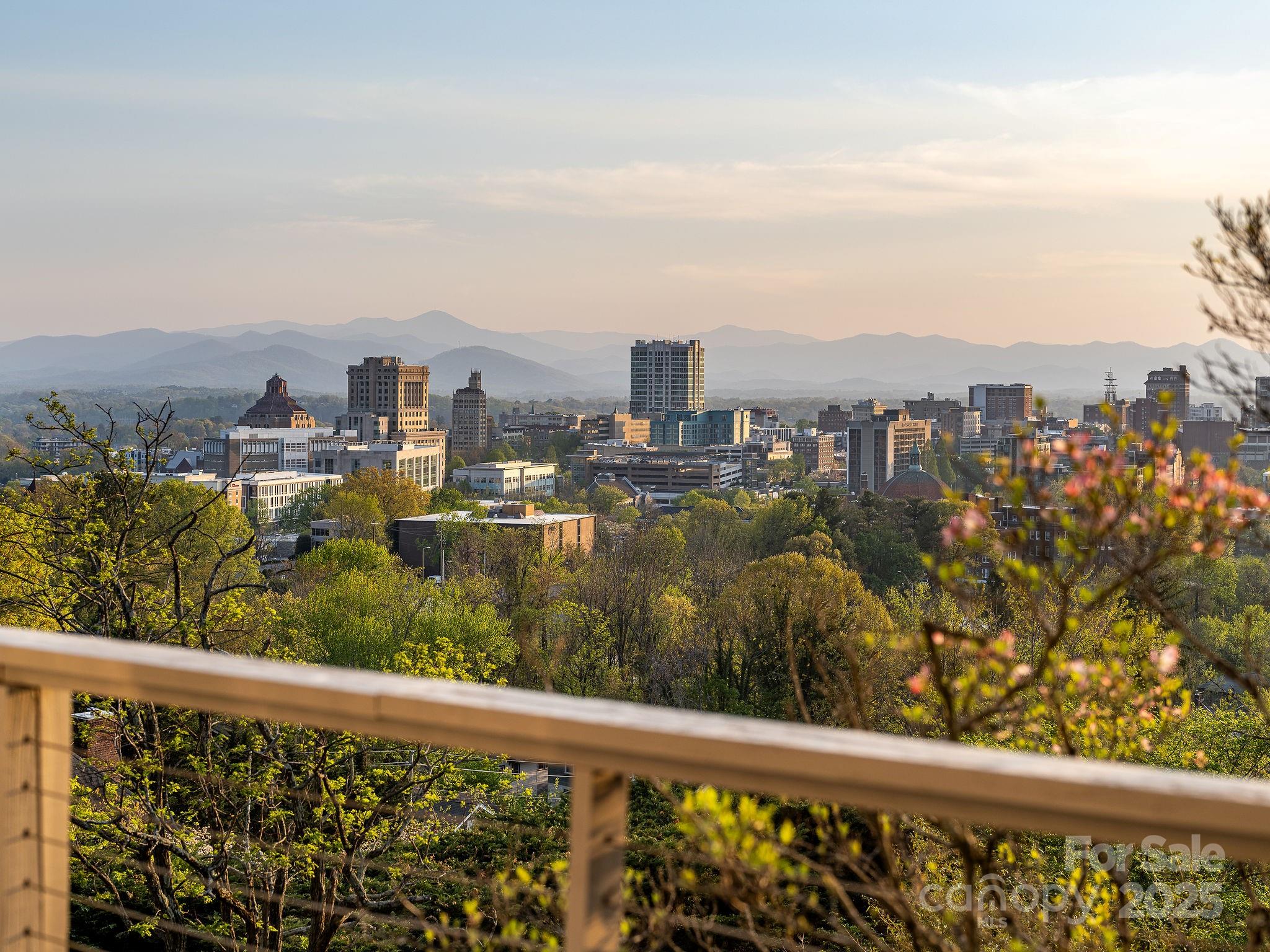 19 Westview Road Asheville, NC 28804 - Photo 39 of 44 a view of a city skyline