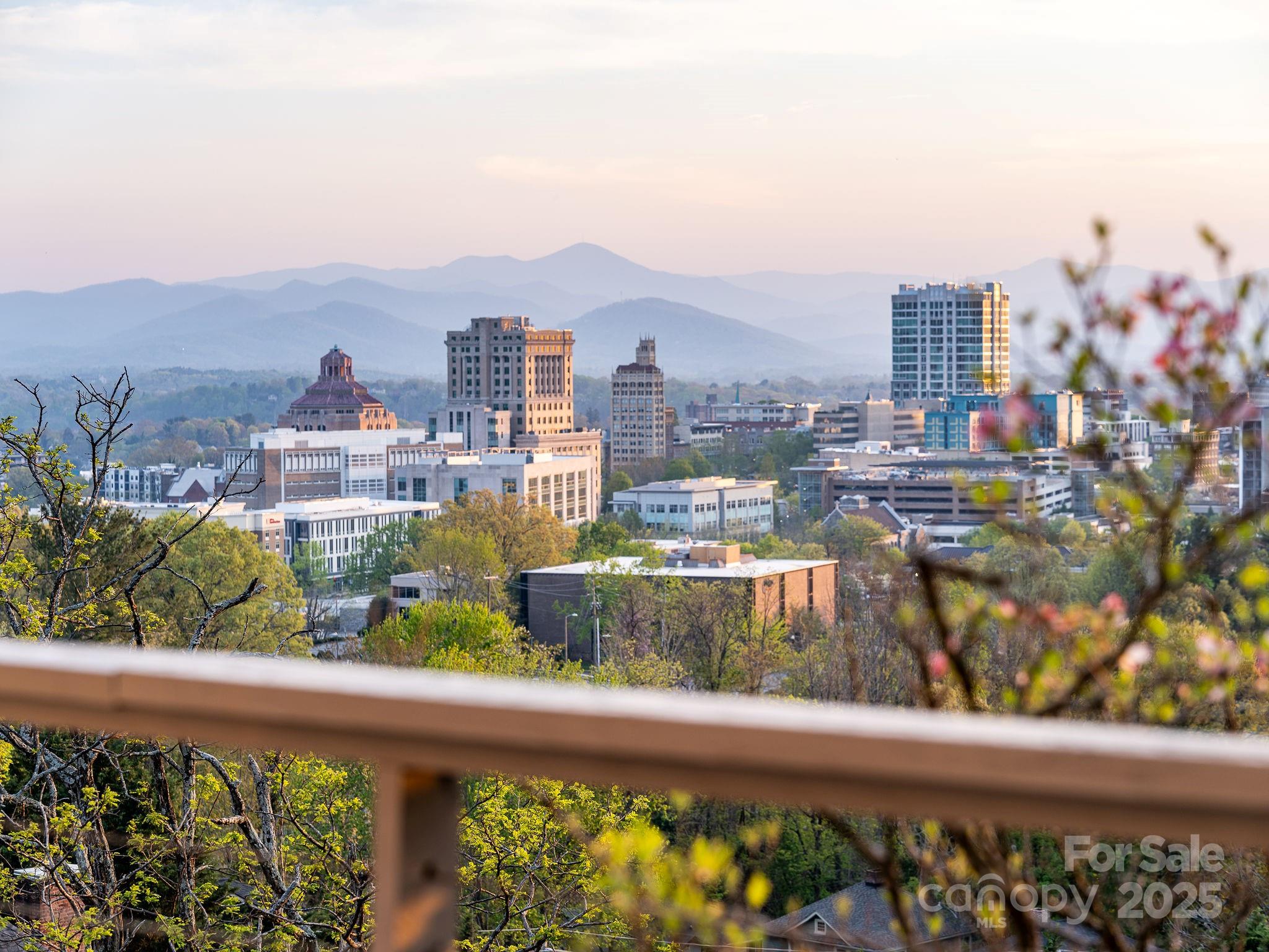 19 Westview Road Asheville, NC 28804 - Photo 40 of 44 a view of a city
