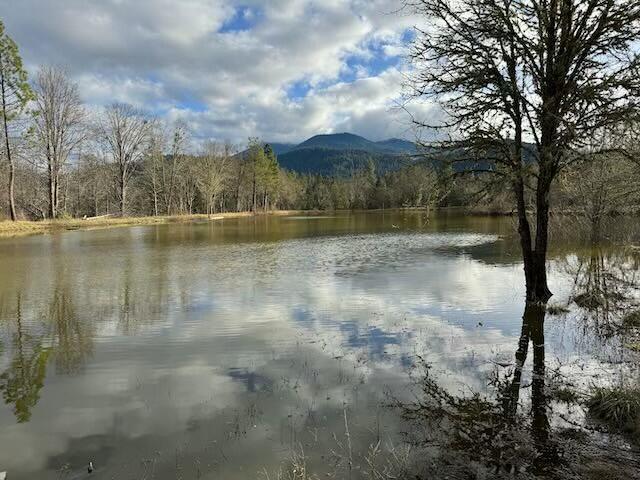 625 Kincaid Road Williams, OR 97544 - Photo 19 of 23 tempImageDOwTlg