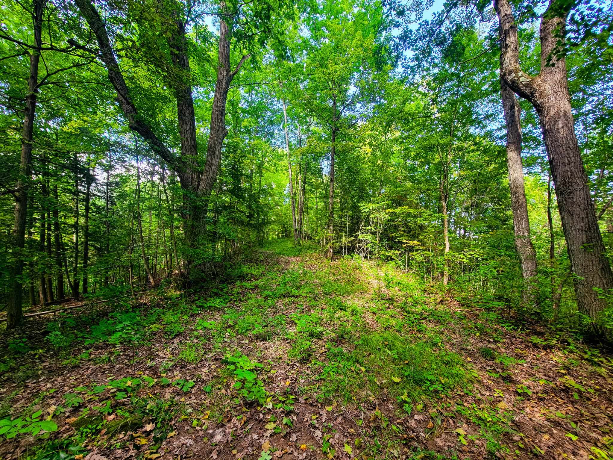 4547 Highway 74 Shoreham, VT 05770 - Photo 23 of 40