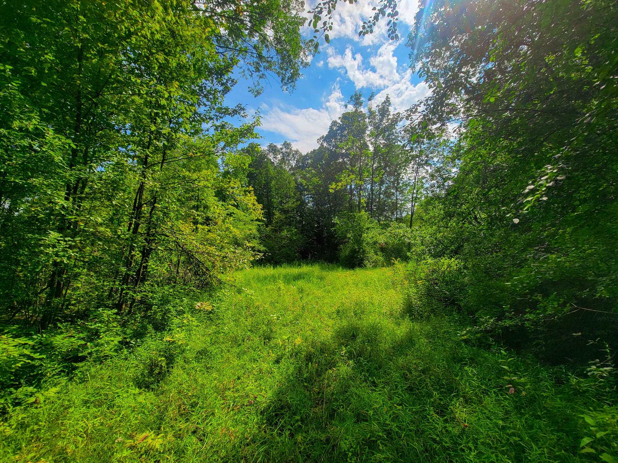 4547 Highway 74 Shoreham, VT 05770 - Photo 25 of 40