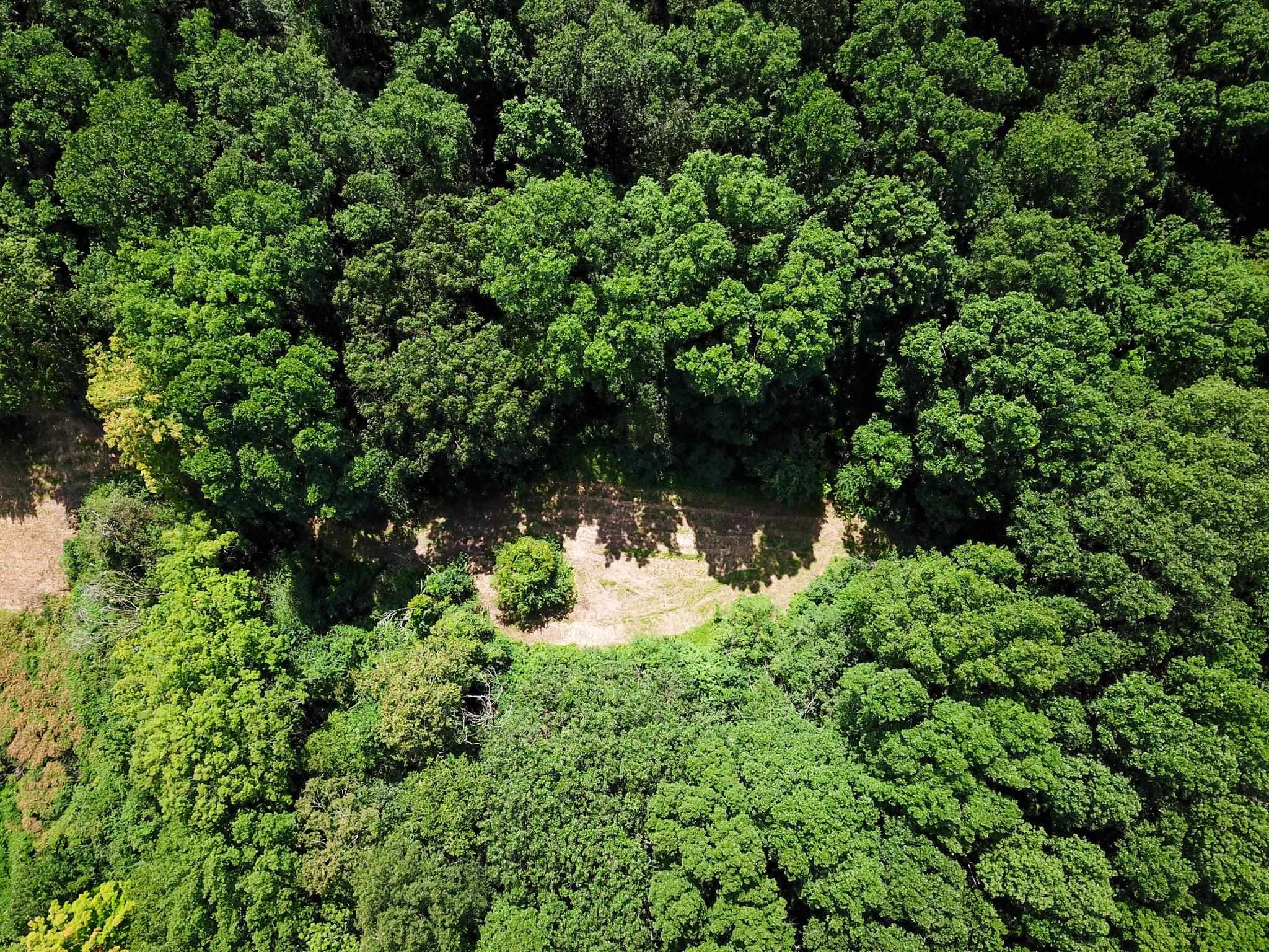 4547 Highway 74 Shoreham, VT 05770 - Photo 26 of 40